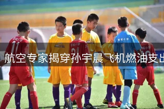 航空专家揭穿孙宇晨飞机燃油支出夸大事实
