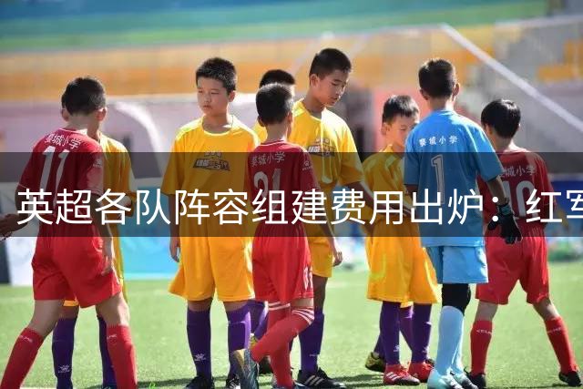 英超各队阵容组建费用出炉：红军蓝月并列榜首